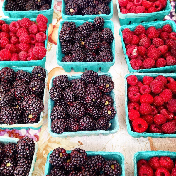 Berries Framed Print