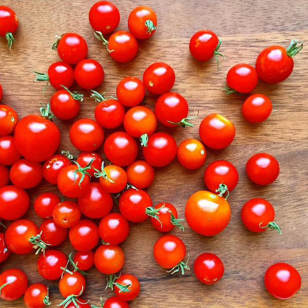 Tomato Framed Print