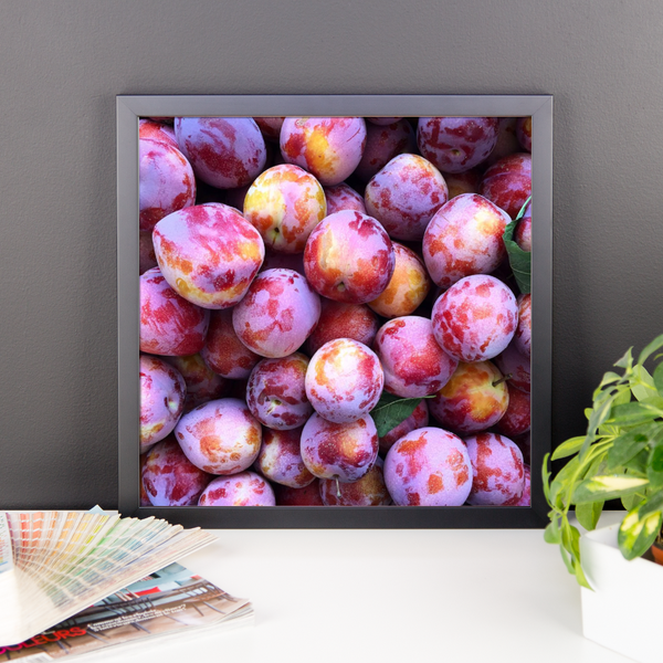 Pluots Framed Print